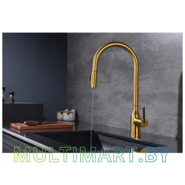 Смеситель Paulmark Universal Un213880-BG (брашированное золото) картинка 4